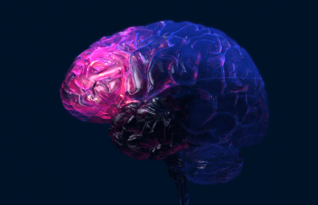 Digitally Rendered Brain Image with Glowing Pink and Purple Effects on Intricate Structure Against Dark Background

Enhance your understanding of neural imagery with this digitally rendered brain image. Set against a dark background, the intricate brain structures are vividly highlighted with a captivating pink and purple glow. Ideal for presentations, medical illustrations, and educational content, this mesmerizing visual perfectly captures the complexity of brain anatomy.